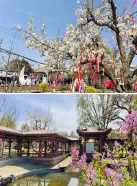 桃李爭香春滿園：蘭州仁壽山4-5月遊玩攻略
