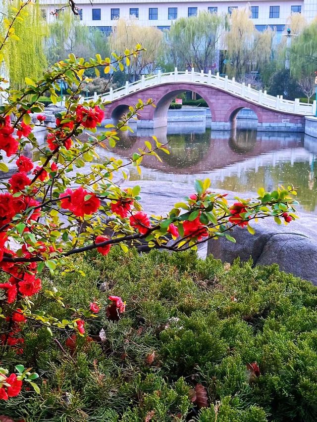 山東德州•一座美麗動人慢節奏的城市
