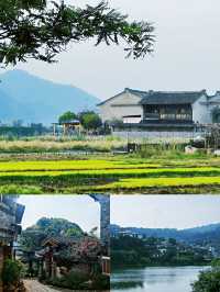 騰沖｜5-6月嚟真香！小眾旅遊寶藏地