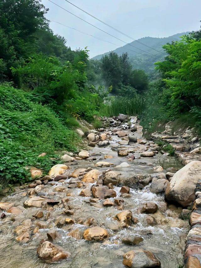 鄭州1h直達闖入綠野秘境·親子玩水&萌寵