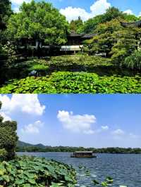 曲院風荷，夏日杭州嘅清涼秘境