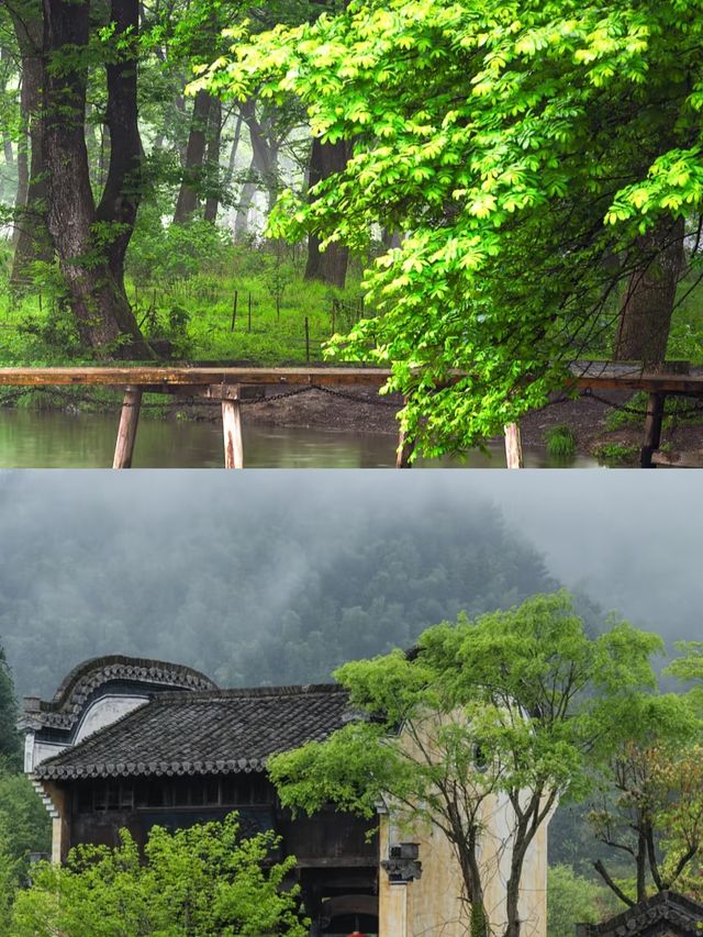 西溪南｜人間綠野仙蹤