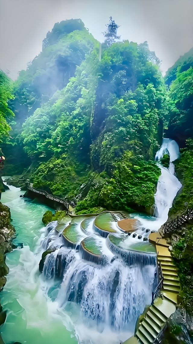 只有親身經歷才可以體驗喲