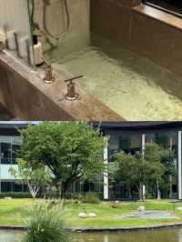 開封嘅秘密花園，建業鉑爾曼嘅綠色奇蹟
