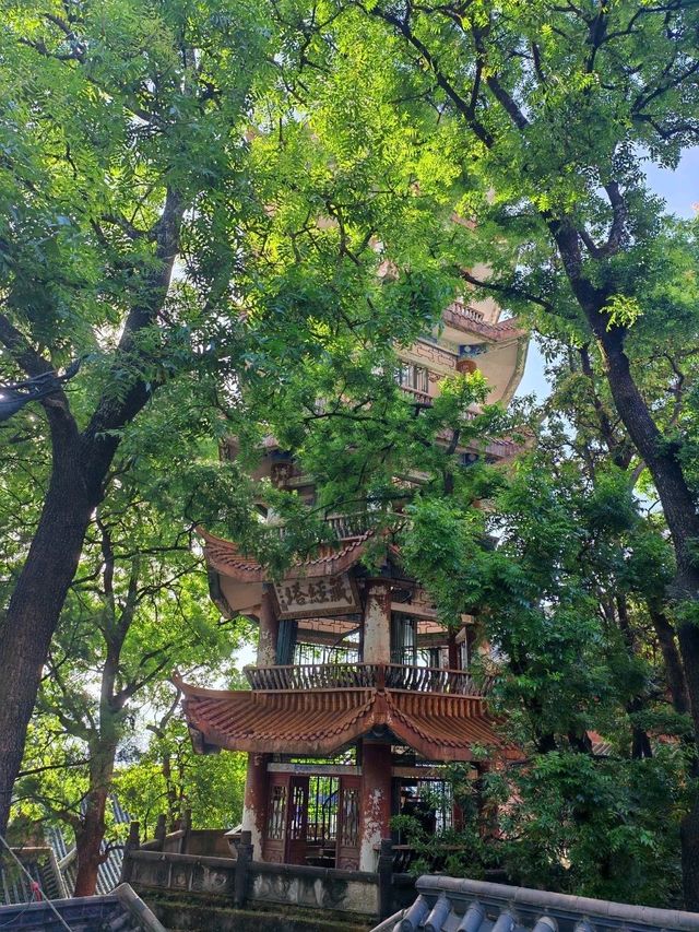 探秘川南勝境｜西昌瀘山雲端之旅