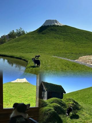 Dog-Friendly Fun | Around Beijing | Little Iceland + Mount Fuji Discovered