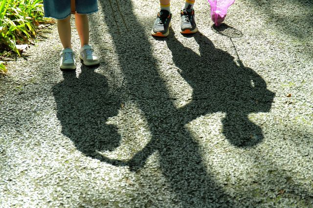 我的城市公園徒步天花板城市裡的綠野仙蹤 我的城市公園徒步天花板城市裡的綠野仙蹤