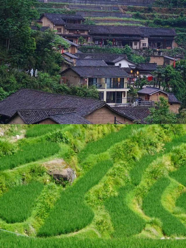 我最愛的旅遊地出現了！真人間秘境