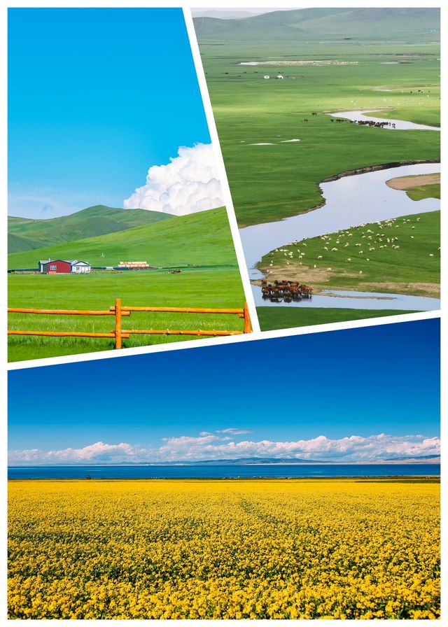 呼倫貝爾旅遊攻略避坑指南有問必答