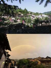 47樹：住進藝術與自然