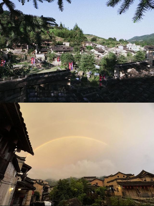 47樹：住進藝術與自然