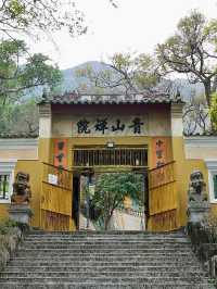 屯門舊日風景：從蝴蝶灣到青山寺的時間散步
