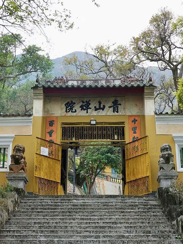 屯門舊日風景：從蝴蝶灣到青山寺的時間散步
