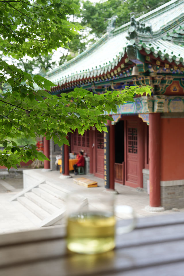 濟南周邊遊｜長清五峰山嘅櫻桃熟啦！