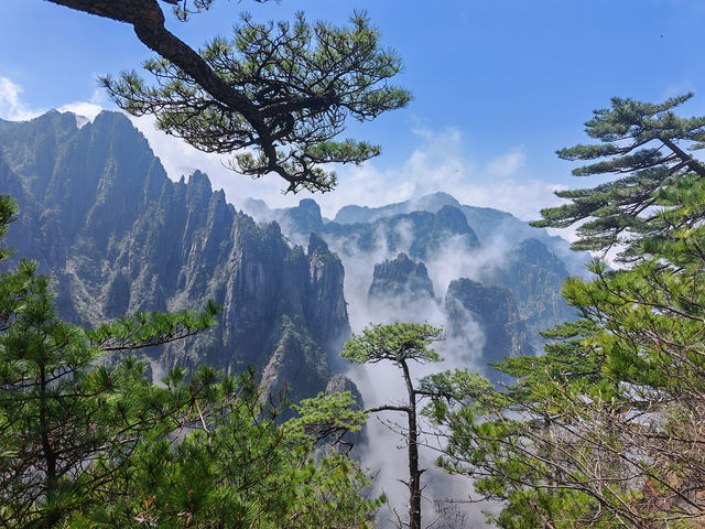 黃山特種兵！