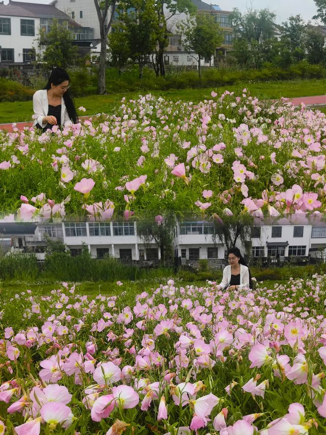 32.4  溧陽長蕩湖