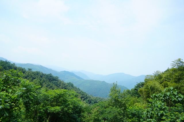 雲端之上的隱逸之境