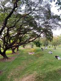 曼谷班嘉琦緹皇后公園交通攻略｜鬧市中的綠意秘境指南