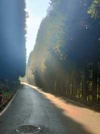 九龍山森林康養旅遊度假村
