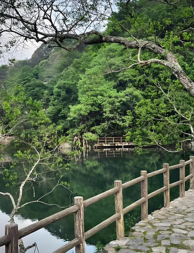 漳州雲水涧：閩南秘境中的山水詩畫