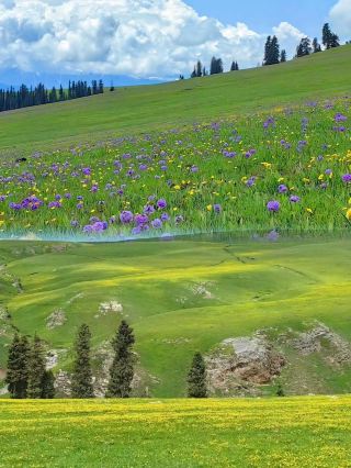 Northern Xinjiang Grand Circle Tour - 11 Days
