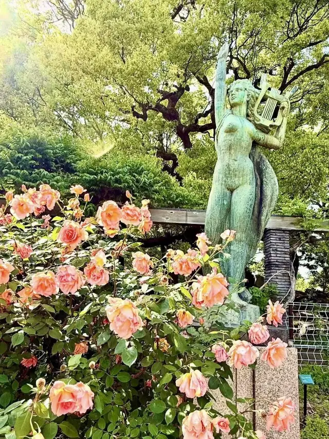 A Natural Selection Story in an Urban Oasis