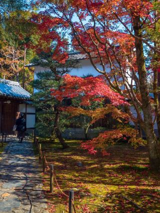 Ultra Cost-Effective 2-Day Kyoto Itinerary Guide