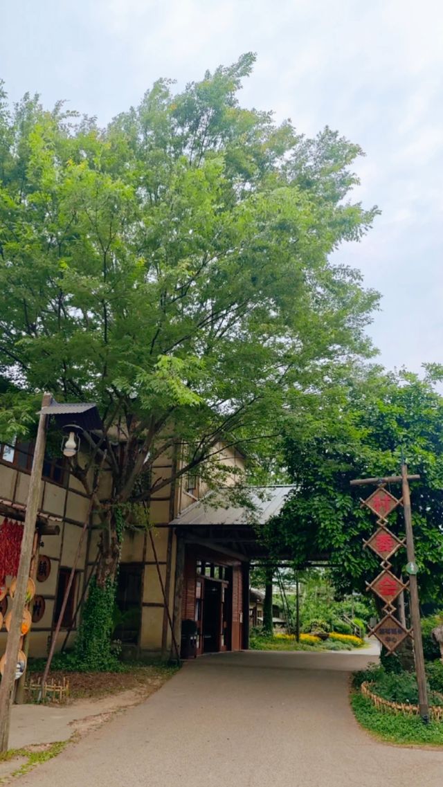 烏鎮烏村聯遊｜邂逅江南水鄉的雙生魅力
