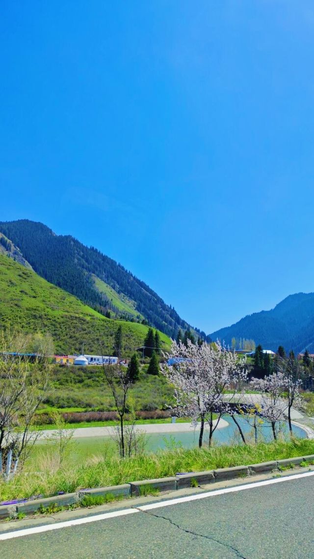 《新疆天山托木爾景區大峽谷，你唔嚟睇下？》