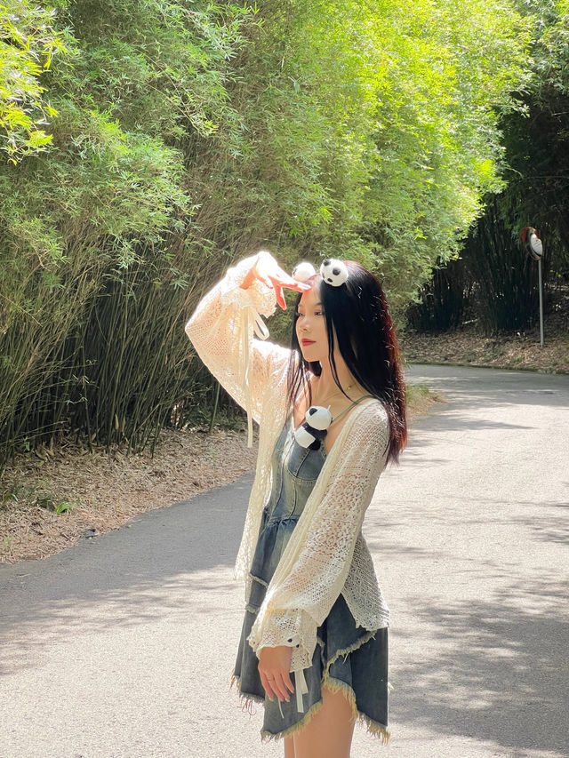 成都！喺IFS食嘢影咗靚相仲睇到花花
