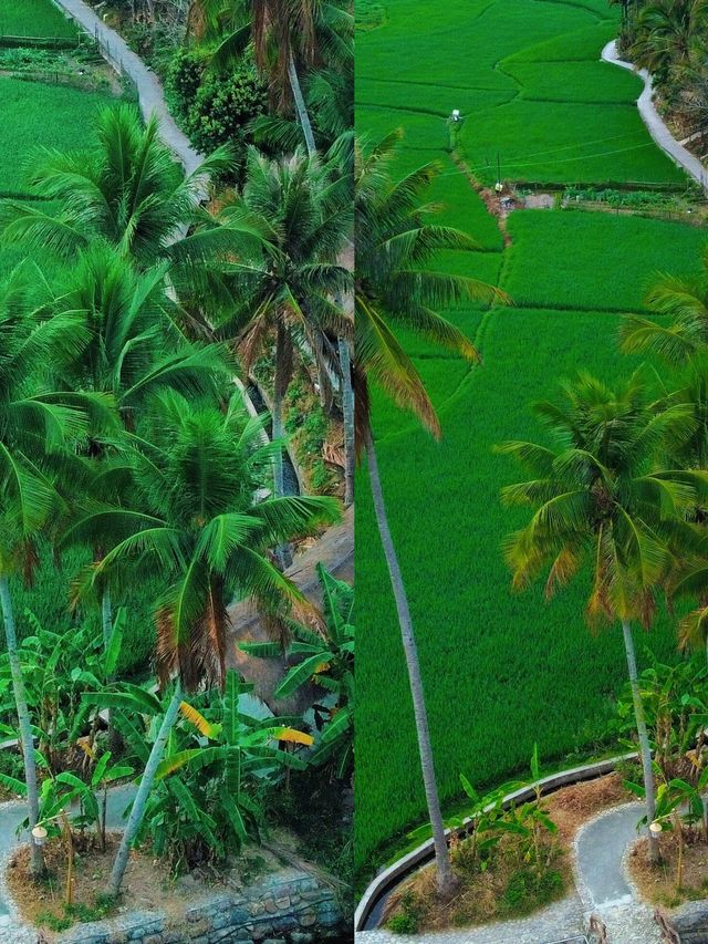 親子出遊｜海南昌江竟藏千年古村落