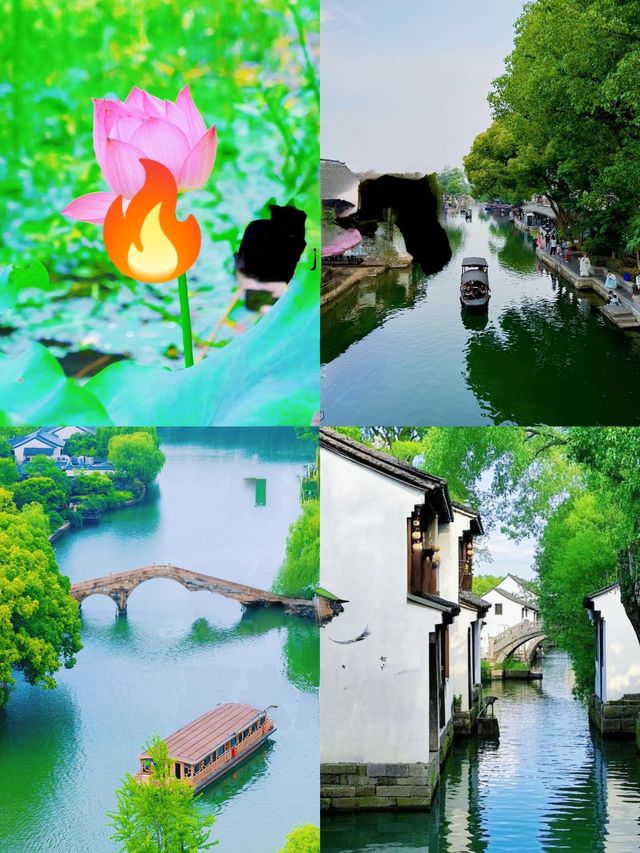 浙江隱藏玩法大揭秘！9市精華一網打盡