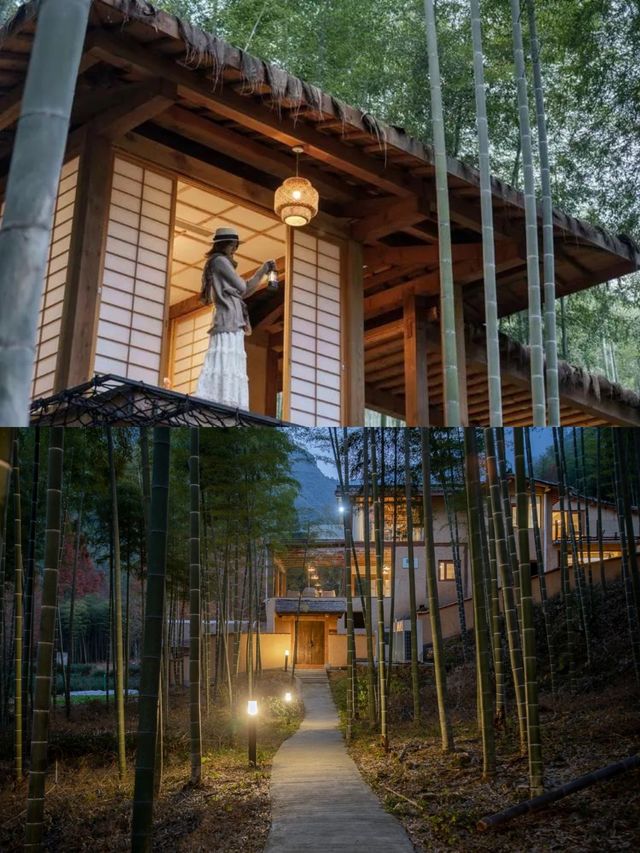 院子竹林中央嘅泡池，正適合舒緩疲憊嘅身心