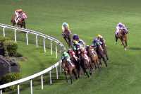Summer Racing Kicks Off: Experience Hong Kong's Horse Racing Culture