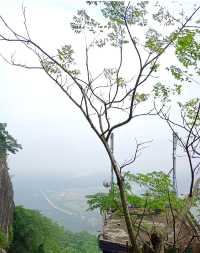 被低估嘅觀景天花板！白石嶺解鎖360°無死角絕美視角