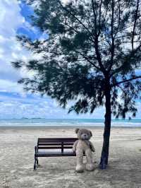 汕尾三千預算能看到這樣的玻璃海嗎？