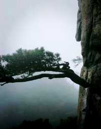 【三清山攻略｜雲海仙境速通指南！】