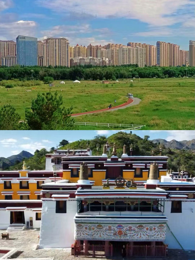 包頭已返，講啲真心大實話。