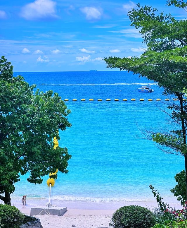 芭堤雅格蘭島 | 夢幻啫喱海