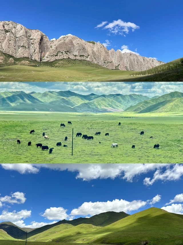 蘭州-甘南7天6晚正穿路線