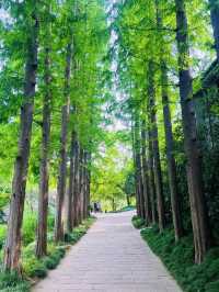 打工仔週末旅行第119站江蘇 揚州市