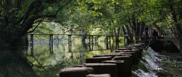 合肥啟程！西溪南黃山宏村太平湖五日遊。