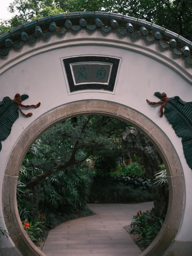 富士直出-闖入廣州蘭圃-靜謐園林美學