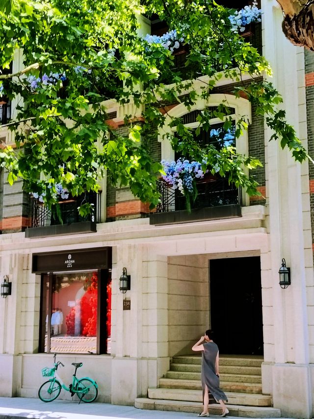 上海老城廂呢條路越嚟越好影
