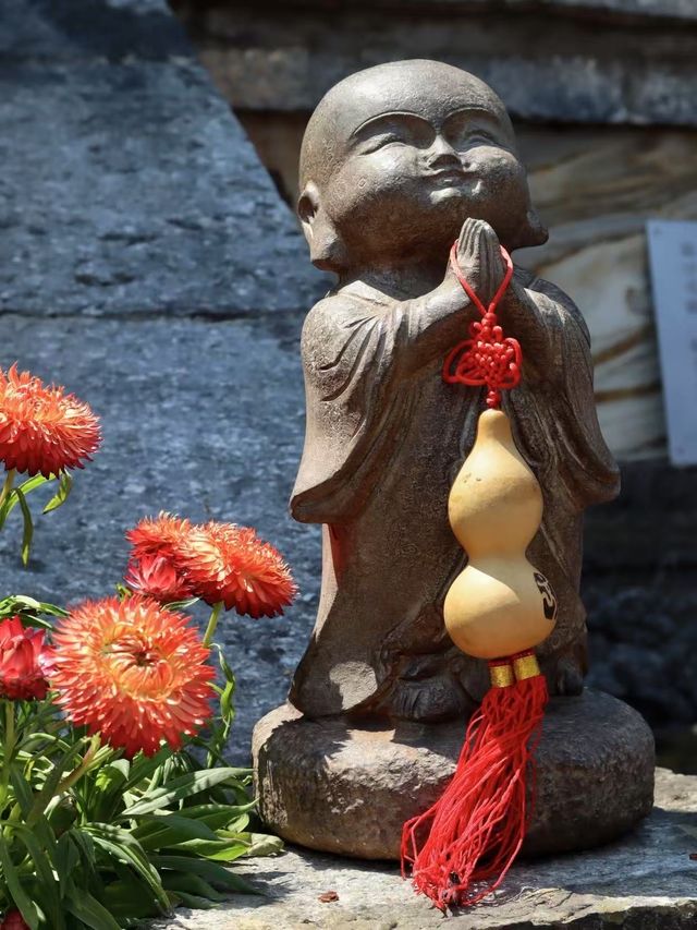 路線概覽 全程距離：約11.5公里（純玉帶路段）；徒步耗時：5-6小時（含觀景停留） 交通距離