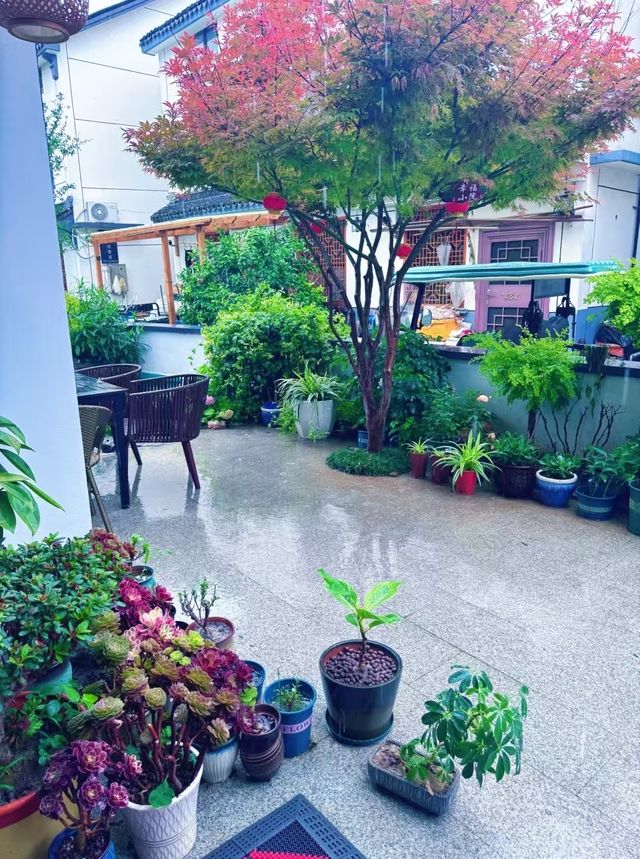 蘇州5A級風景區周莊古鎮嘅角落，你一句春不晚我就真係落咗江南