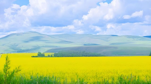 無法想像嘅今夏避暑秘境【根河】真正嘅酷夏