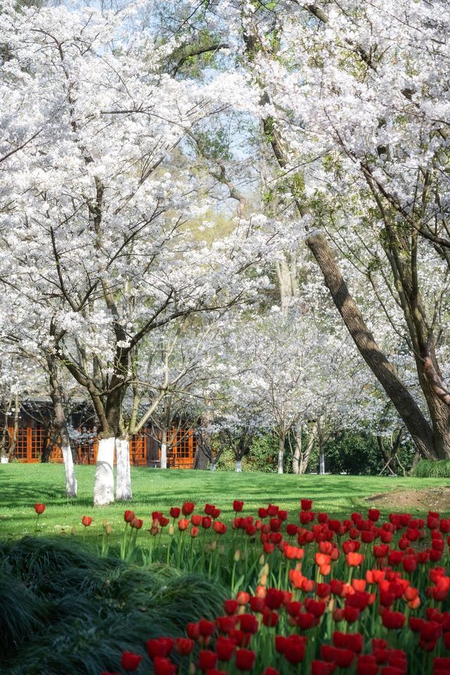 太子灣公園旅遊攻略