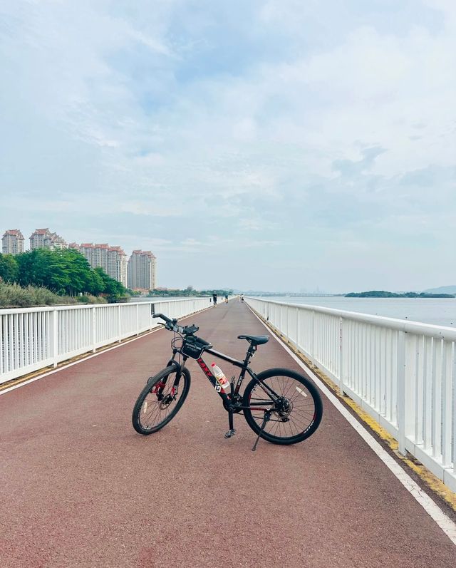 廈門單車大狂歡，住呢度直接爽到飛起！