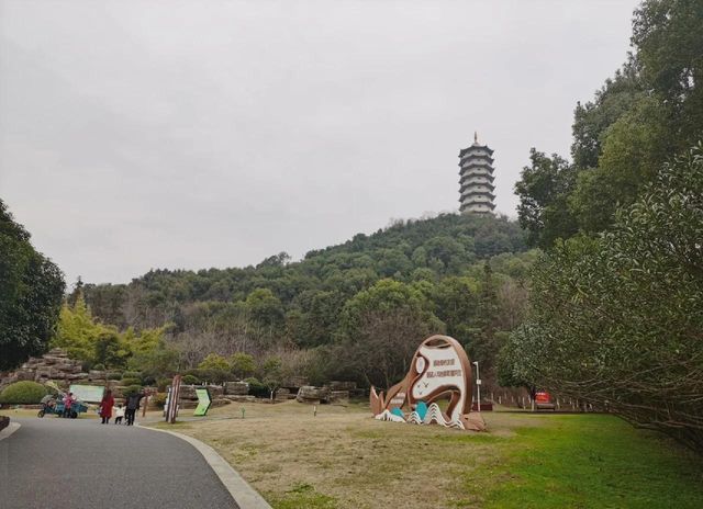【宜陽森林公園暴走攻略】承包宜春人嘅「城市綠肺」，吸氧、遛娃、影靚相一網打盡！   一入園就被滿眼綠